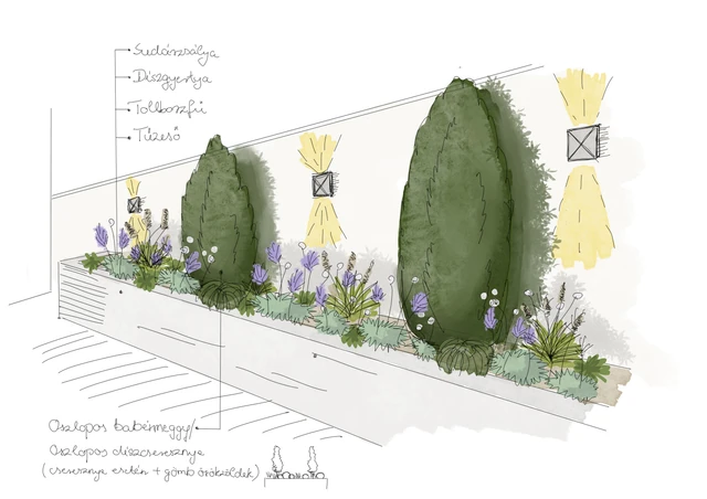 Hand-drawn view with a raised bed, columnar plants, flowering perennials and wall lighting
