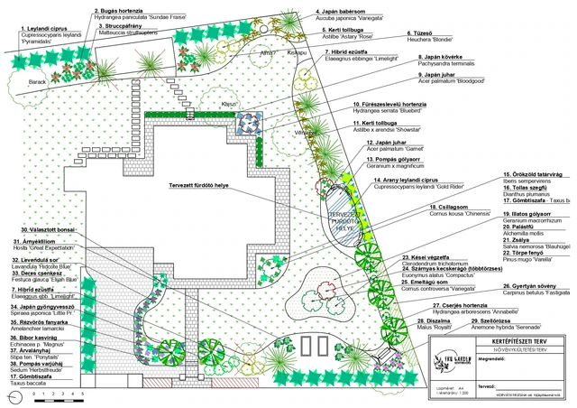 Planting plan with numbered plant labels and Hungarian and botanical names