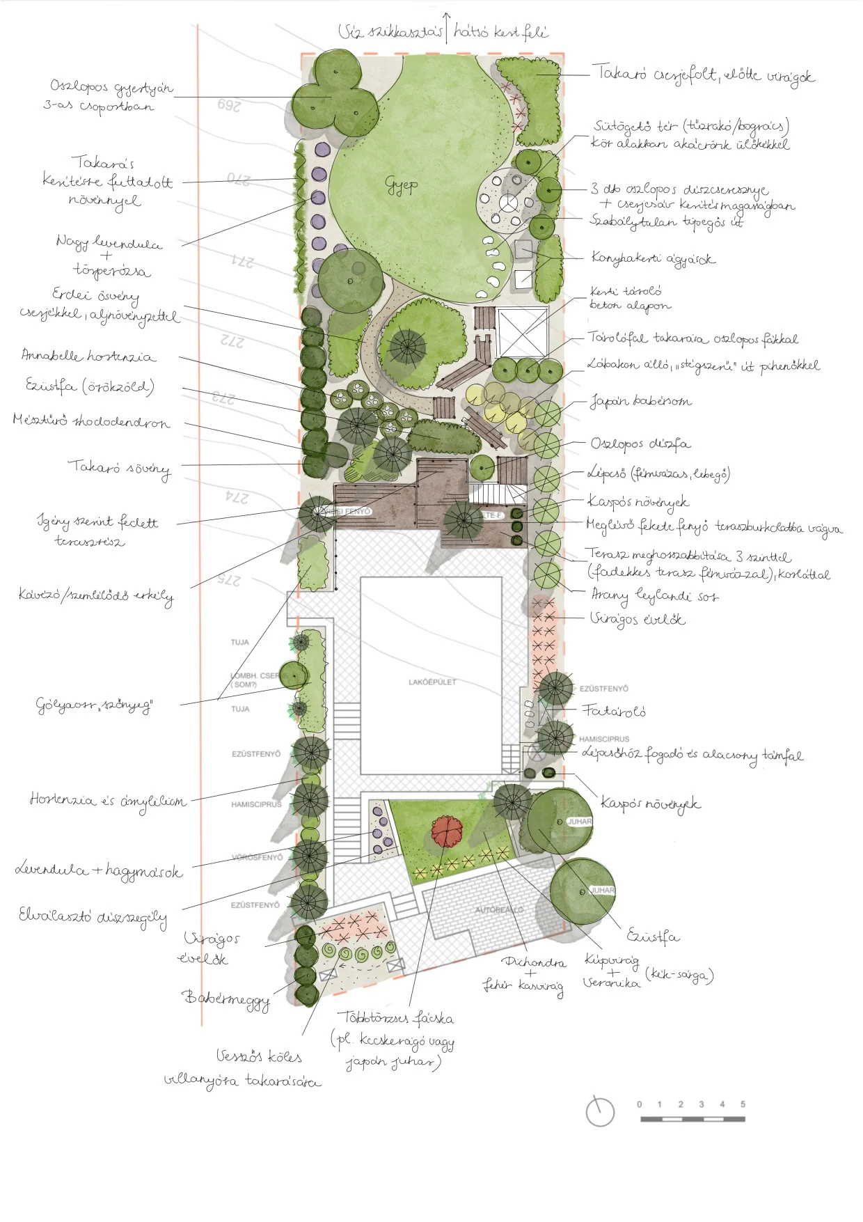 Detail of a hand-drawn terraced garden concept: steps, terraces, seating and planted beds