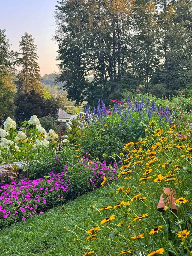Colourful flower beds and shade trees along a garden path