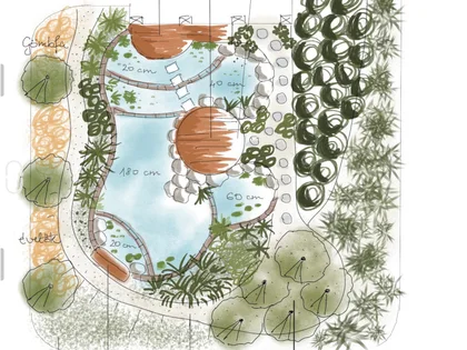 Farbige Draufsicht eines geschwungenen Gartenteichs mit Holzdecks und Uferpflanzen