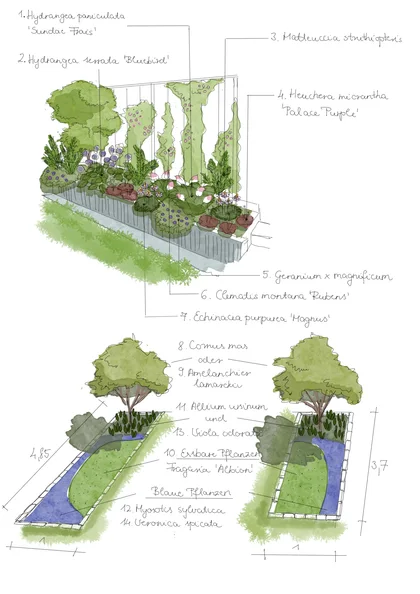 Zwei Gartenhandskizzen mit schmaler Wasserfläche, Bäumen und mehrschichtigen Beeten