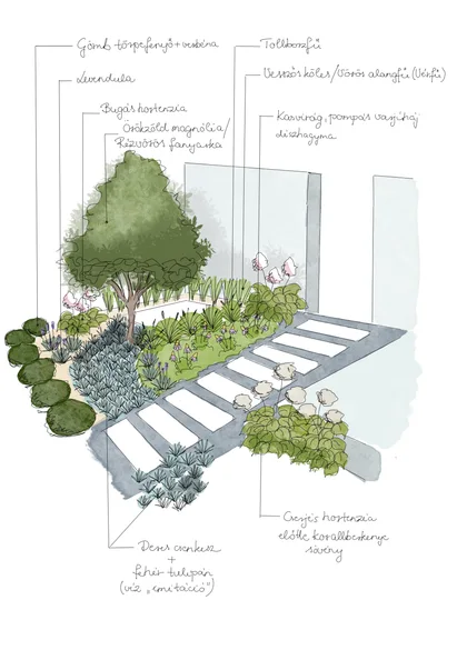 Handansicht eines Eingangsgartens mit Trittsteinen, kleinem Baum und Pflanzstreifen zur Tür