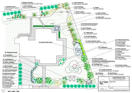 Pflanzplan rund ums Haus mit geschwungenen Gruppen sowie ungarischen und botanischen Namen