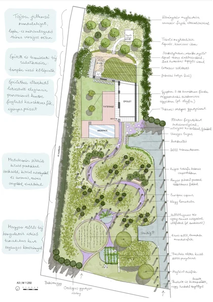 Konzept eines langen Gartens mit Mandelhain, Terrasse, Pool, gewundenen Wegen und Weinlaube